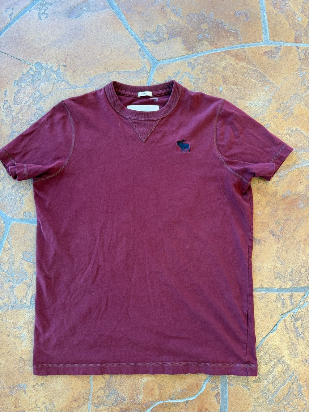 Vintage Y2K Abercrombie & Fitch Men's Muscle Fit Crew Neck T-Shirt Maroon - L